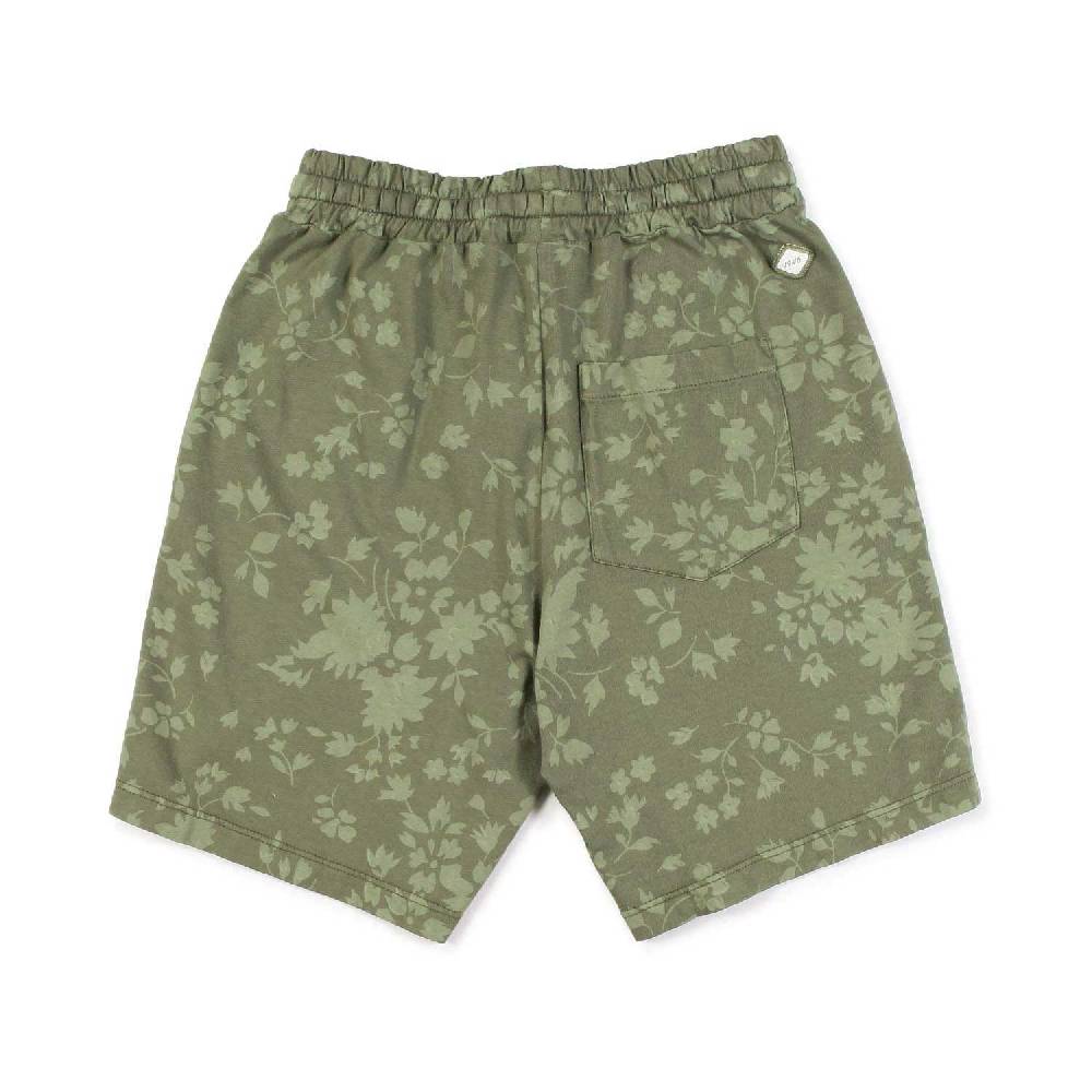 Nupkeet Bermuda verde militare Novara Convenienza