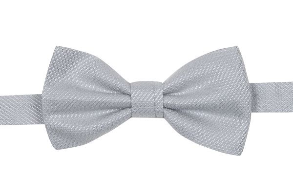 Gilet grigio perla simbols completo di papillon Negozio
