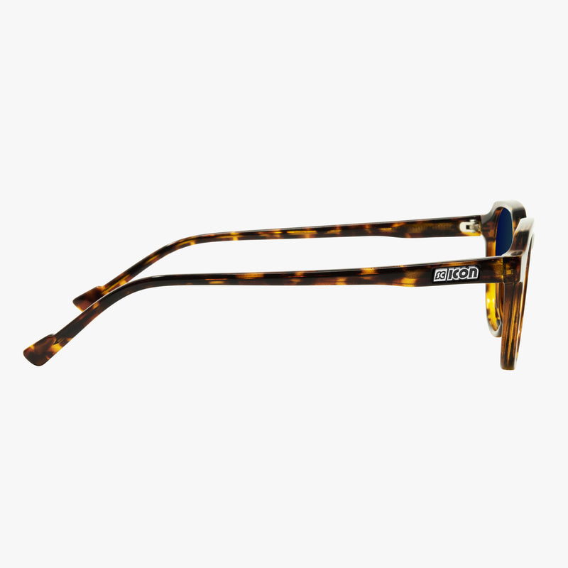 Scicon Occhiali da sole Vertex Tartarugati/Lenti Blu Specchiate Economico