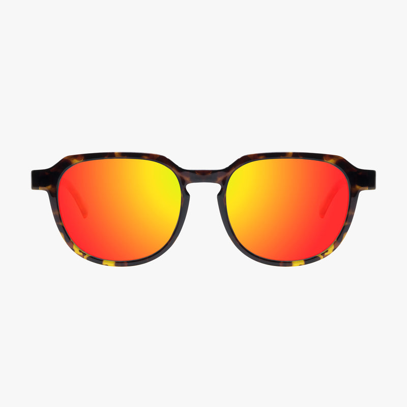 Scicon Occhiali da sole Vertex Tartarugati/Lenti Rosse Specchiate Online