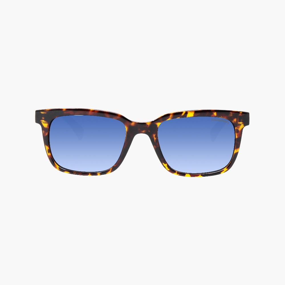 Scicon Occhiali da sole Roygo Tartarugati/Lenti Sfumate Blu Fino al 60% di sconto