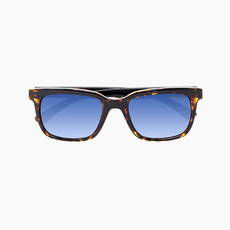 Scicon Occhiali da sole Roygo Tartarugati/Lenti Sfumate Blu Fino al 60% di sconto